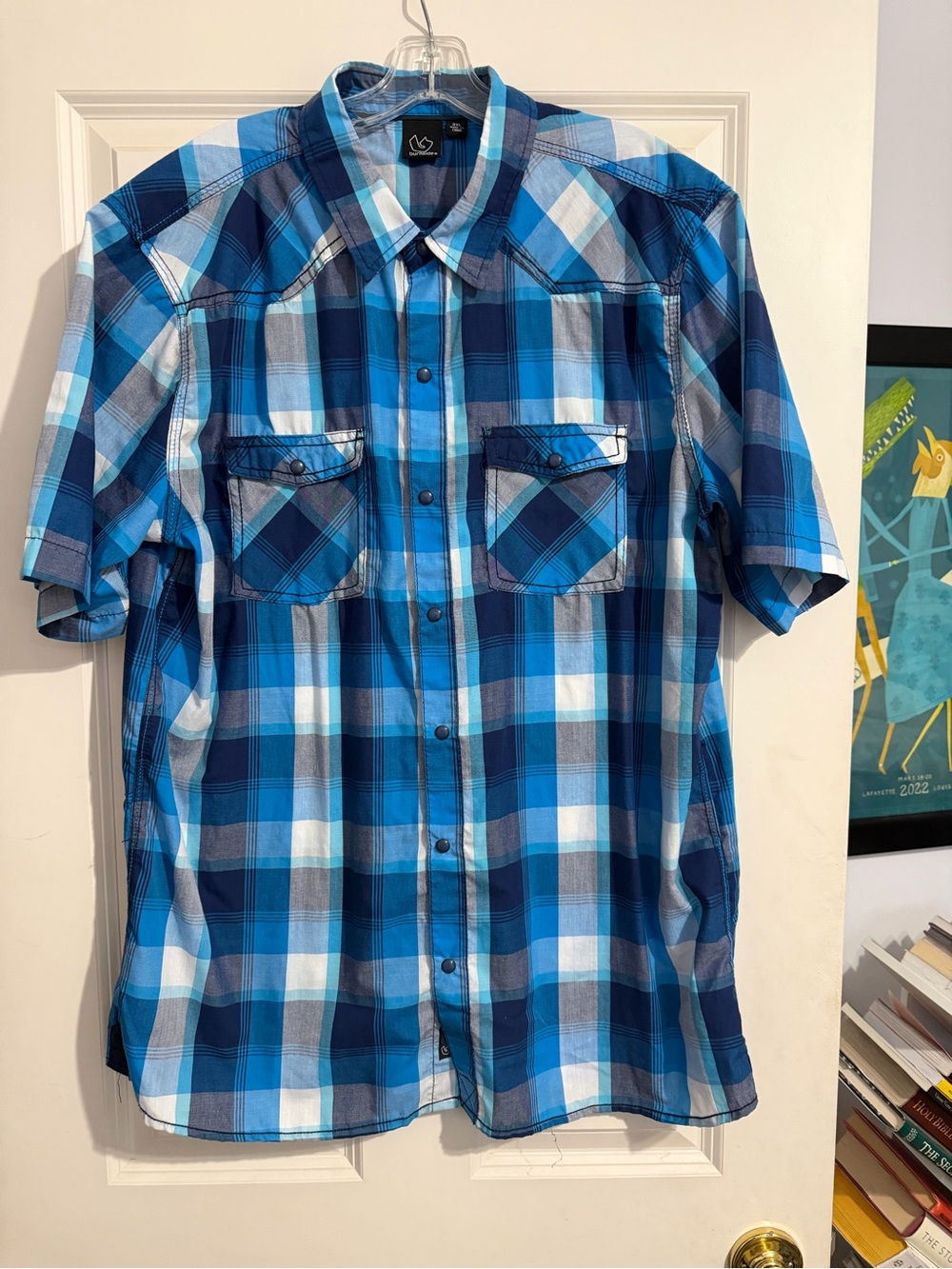 burnside Men's Blue Plaid Short-Sleeve Button-Down Shirt